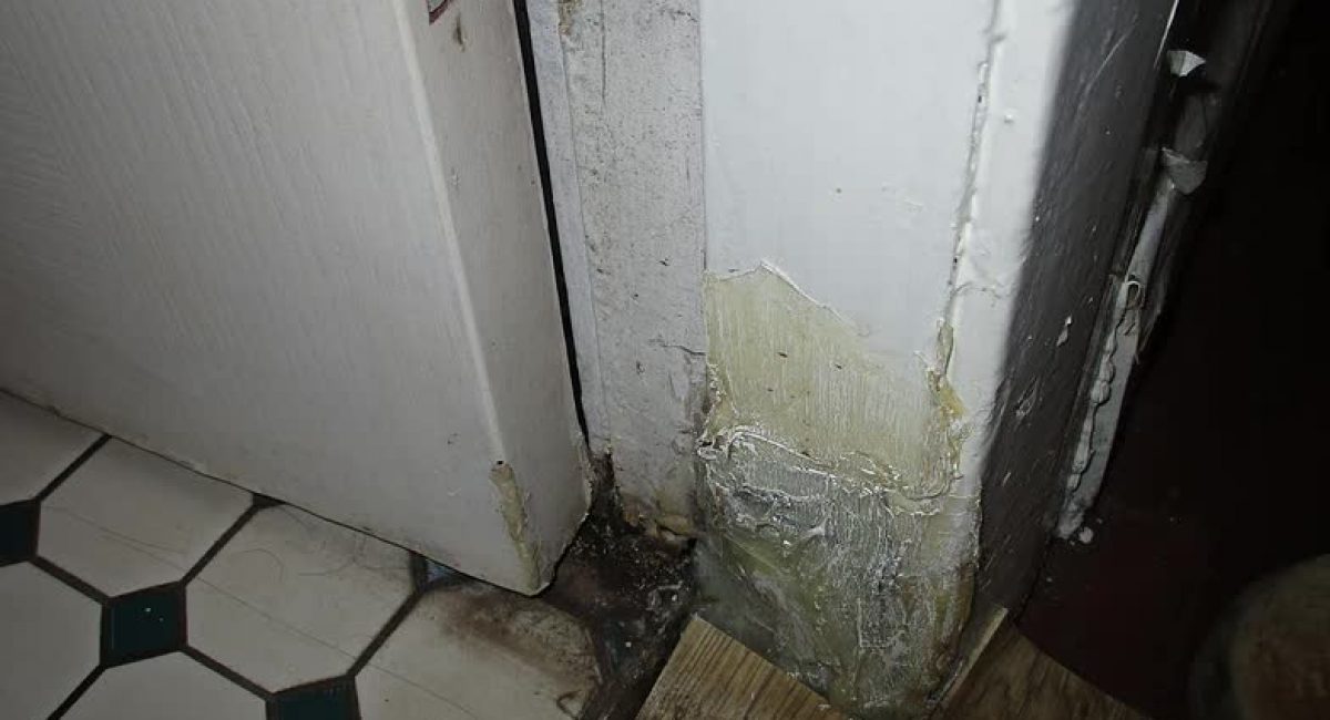 Fungal decay to door frame - SJN Building Consultants